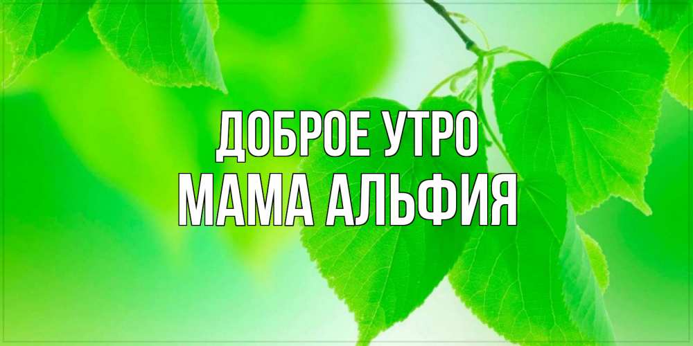Открытка на каждый день с именем, Мама-Альфия Доброе утро доброе утро с березовыми листьями Прикольная открытка с пожеланием онлайн скачать бесплатно 