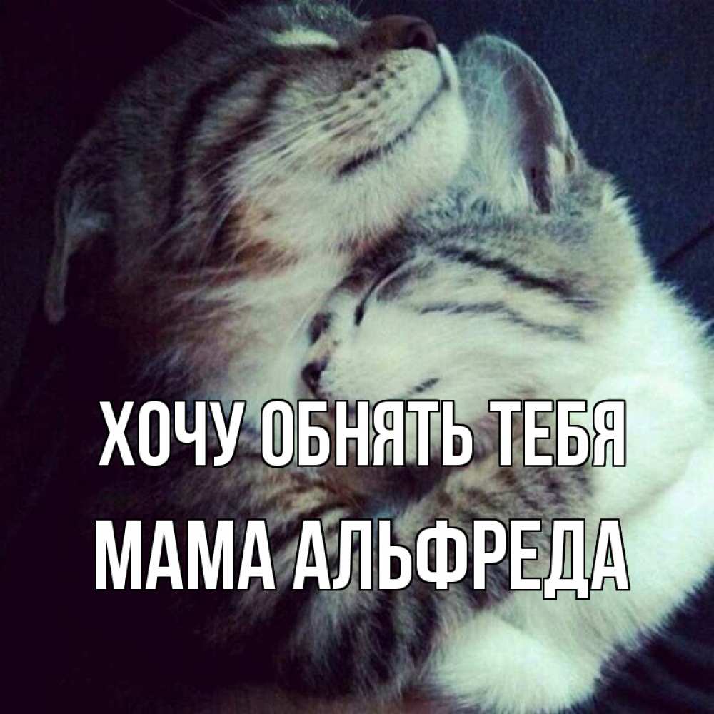 Открытка на каждый день с именем, Мама-Альфреда Хочу обнять тебя полосатики Прикольная открытка с пожеланием онлайн скачать бесплатно 