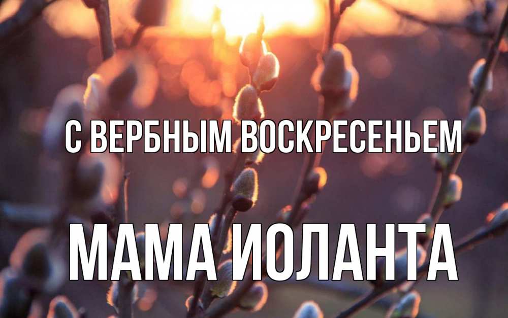 Открытка на каждый день с именем, Мама-Иоланта С вербным воскресеньем верба Прикольная открытка с пожеланием онлайн скачать бесплатно 