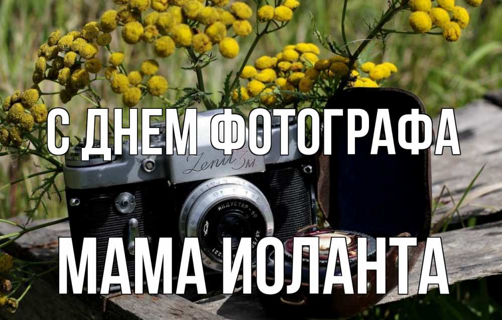 Открытка на каждый день с именем, Мама-Иоланта С днем фотографа с днем фотографа Прикольная открытка с пожеланием онлайн скачать бесплатно 