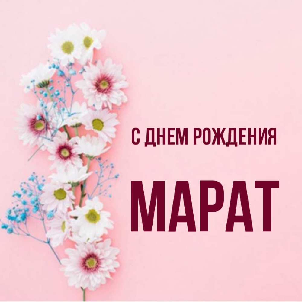 Открытка на каждый день с именем, Марат С днем рождения Родная моя с днем рождения тебя картинка с цветами белыми и голубыми Прикольная открытка с пожеланием онлайн скачать бесплатно 