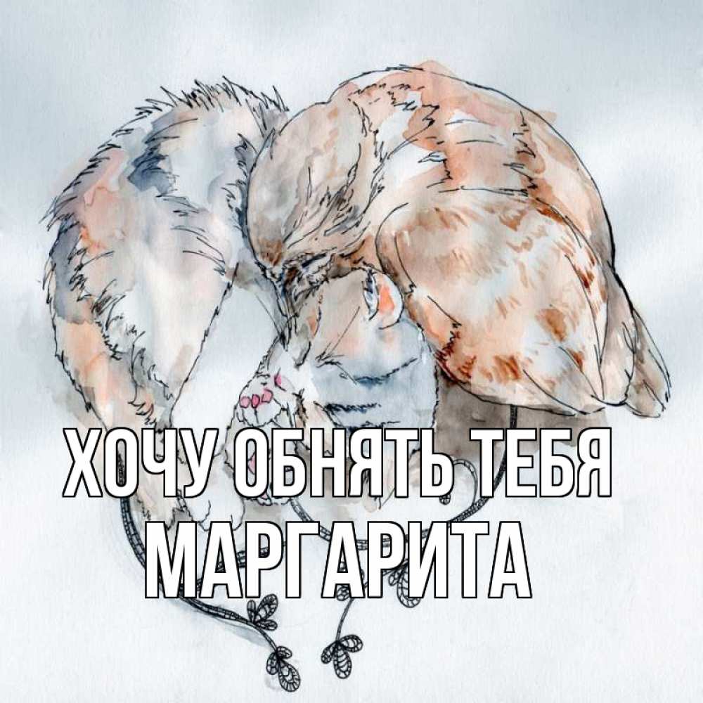 Открытка на каждый день с именем, Маргарита Хочу обнять тебя можно быть вместе даже когда очень разные Прикольная открытка с пожеланием онлайн скачать бесплатно 