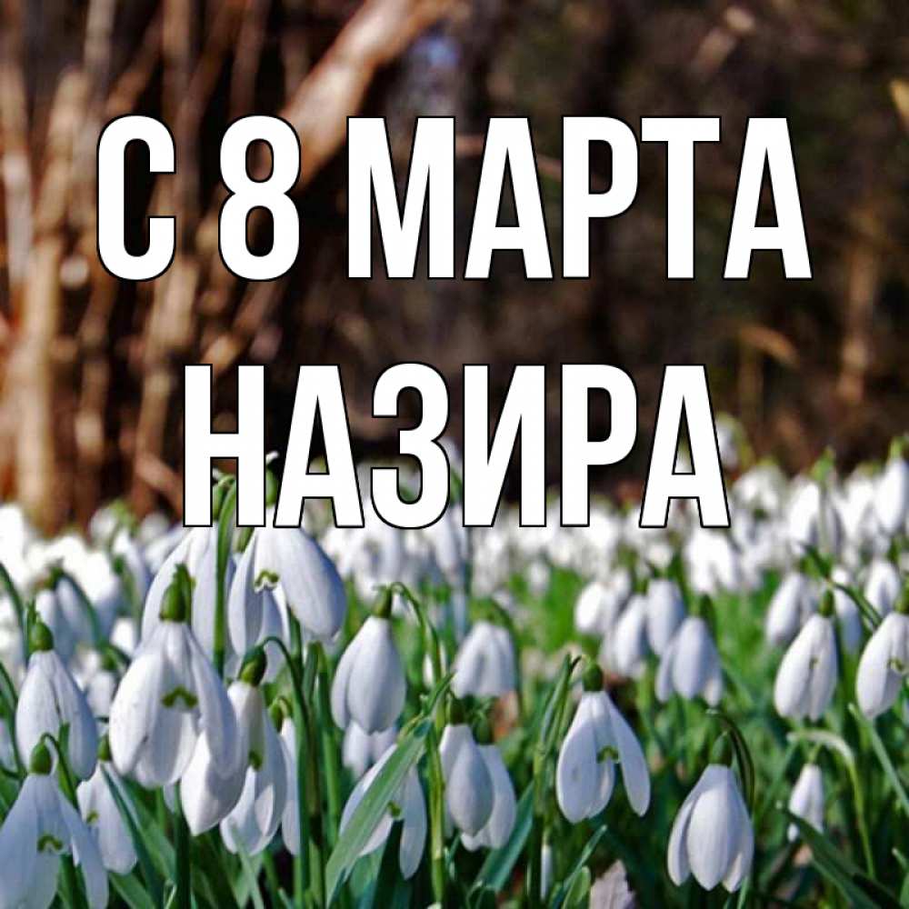 Открытка на каждый день с именем, Назира С 8 МАРТА с подснежниками 1 Прикольная открытка с пожеланием онлайн скачать бесплатно 