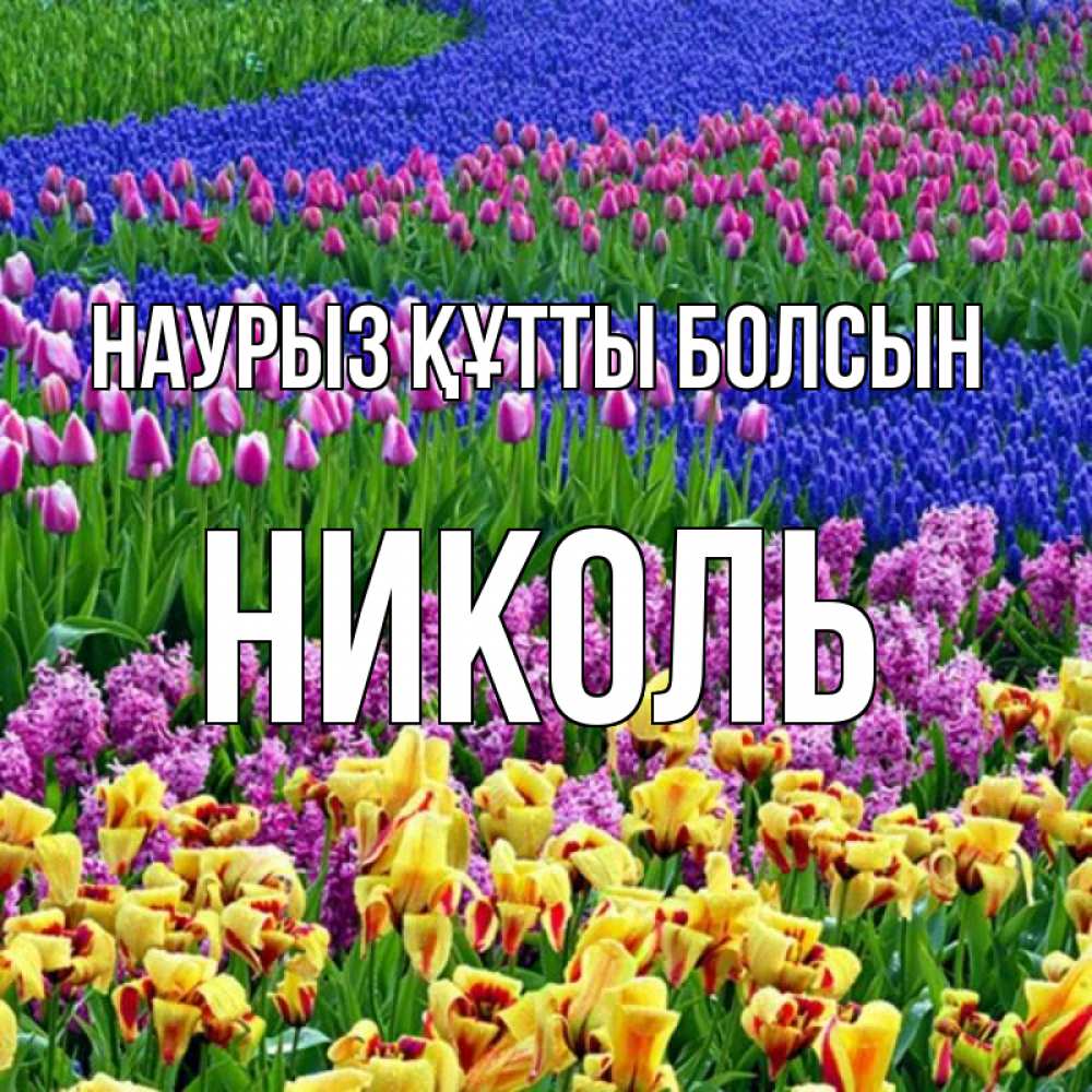 Открытка на каждый день с именем, Николь Наурыз құтты болсын цветы Прикольная открытка с пожеланием онлайн скачать бесплатно 