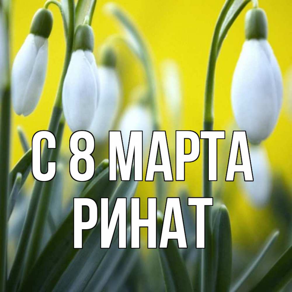 Открытка на каждый день с именем, Ринат С 8 МАРТА весенние цветы Прикольная открытка с пожеланием онлайн скачать бесплатно 