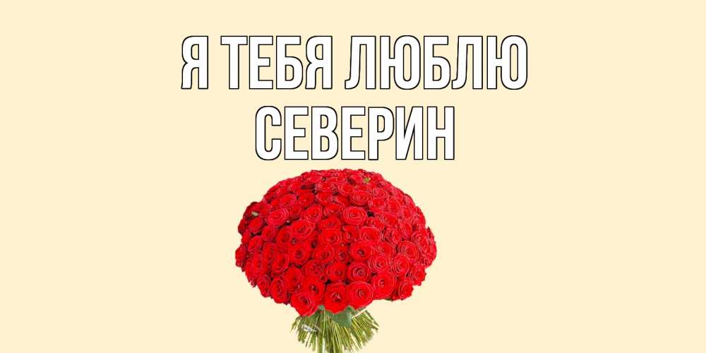 Открытка на каждый день с именем, Северин Я тебя люблю розы Прикольная открытка с пожеланием онлайн скачать бесплатно 