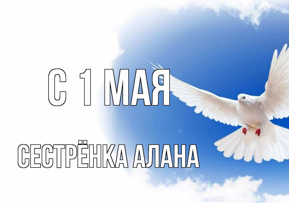 Открытка на каждый день с именем, Сестрёнка-Алана С 1 мая С 1 мая Прикольная открытка с пожеланием онлайн скачать бесплатно 
