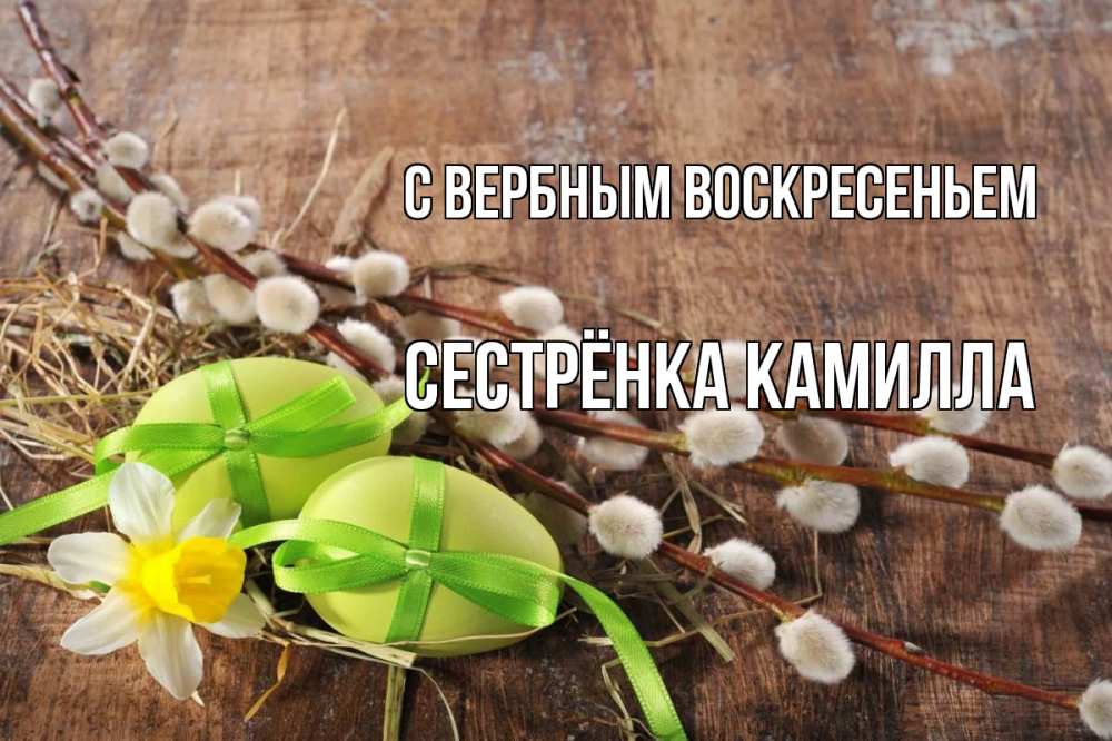 Открытка на каждый день с именем, Сестрёнка-Камилла С вербным воскресеньем верба Прикольная открытка с пожеланием онлайн скачать бесплатно 