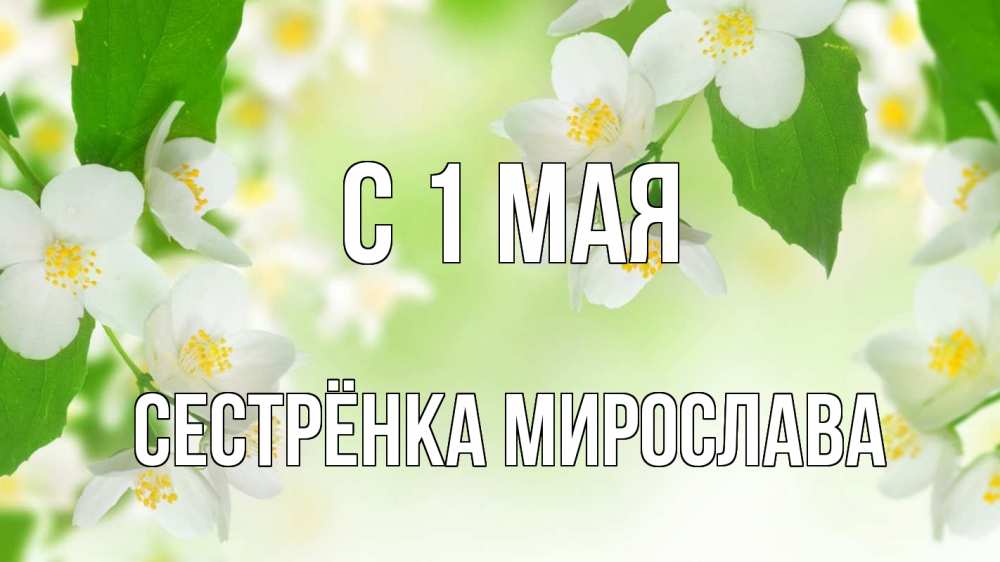 Открытка на каждый день с именем, Сестрёнка-Мирослава С 1 мая С 1 мая Прикольная открытка с пожеланием онлайн скачать бесплатно 