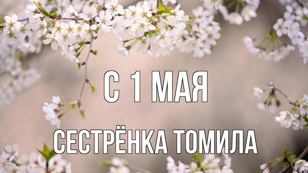 Открытка на каждый день с именем, Сестрёнка-Томила С 1 мая С 1 мая Прикольная открытка с пожеланием онлайн скачать бесплатно 