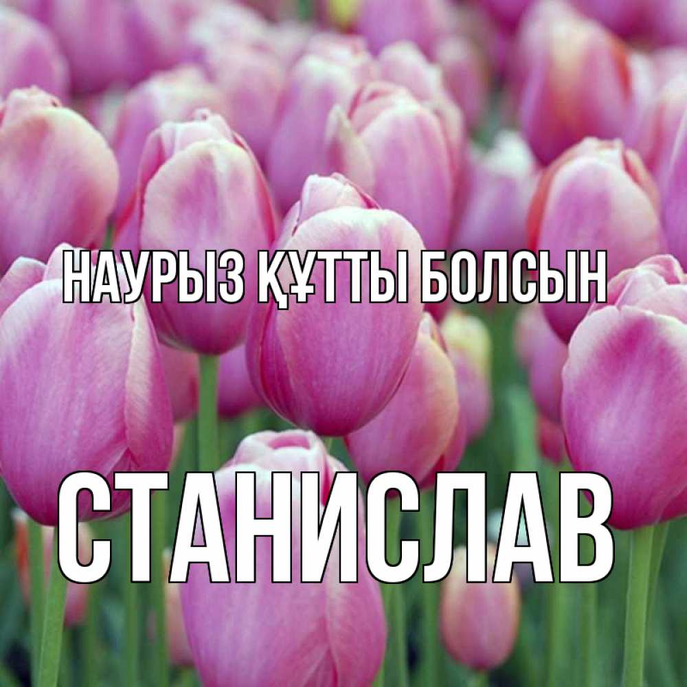 Открытка на каждый день с именем, Станислав Наурыз құтты болсын на наурыз  день 3 Прикольная открытка с пожеланием онлайн скачать бесплатно 