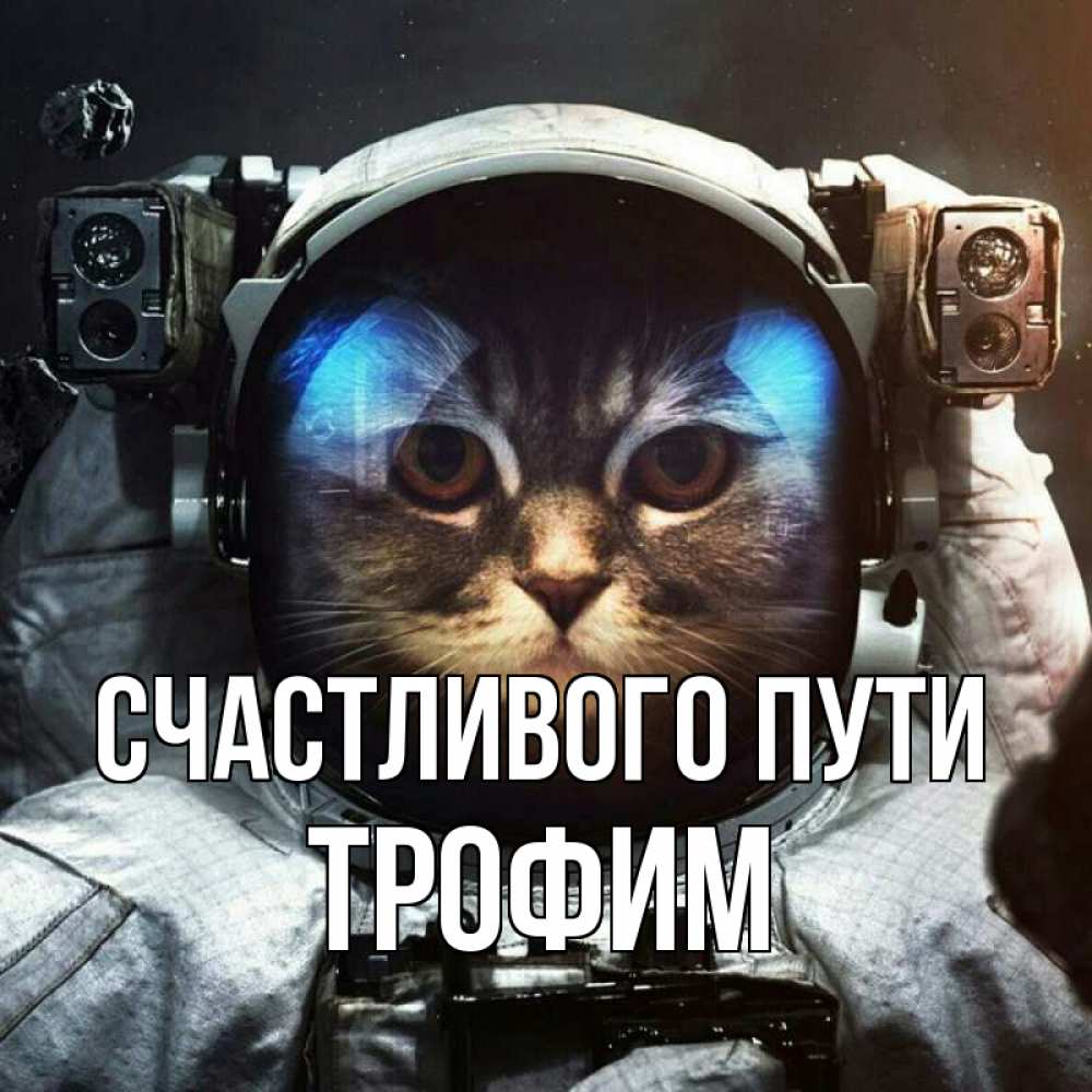 Открытка на каждый день с именем, Трофим Счастливого пути желает удачно добраться Прикольная открытка с пожеланием онлайн скачать бесплатно 