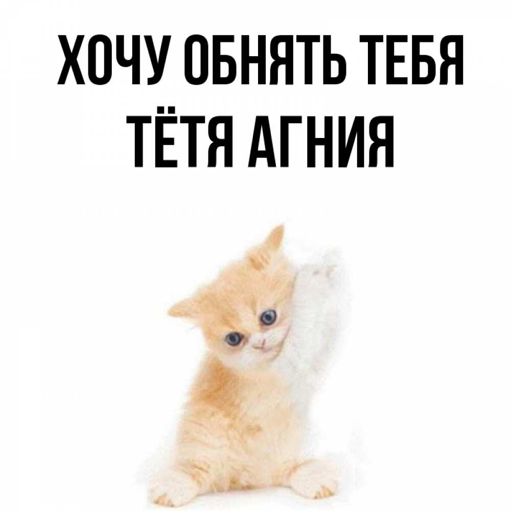 Открытка на каждый день с именем, Тётя-Агния Хочу обнять тебя я хочу очень скорее обнимаешек Прикольная открытка с пожеланием онлайн скачать бесплатно 
