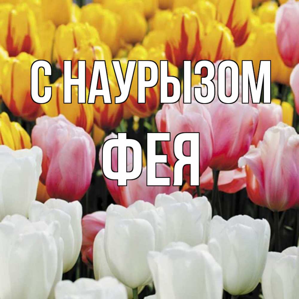 Открытка на каждый день с именем, Фея С наурызом разноцветные цветы Прикольная открытка с пожеланием онлайн скачать бесплатно 