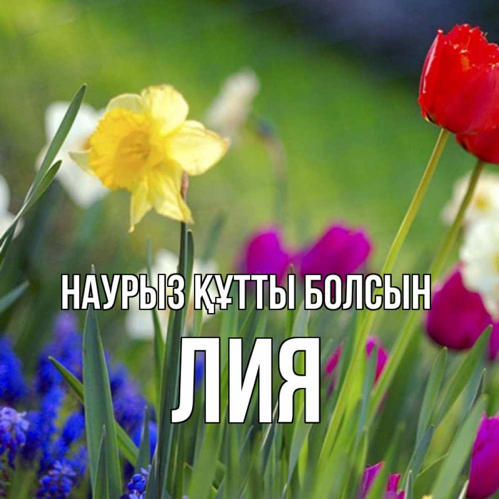 Открытка на каждый день с именем, Лия Наурыз құтты болсын наурыз  3 открытки Прикольная открытка с пожеланием онлайн скачать бесплатно 