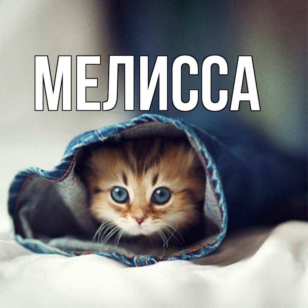 Картинка  с именем , Мелисса