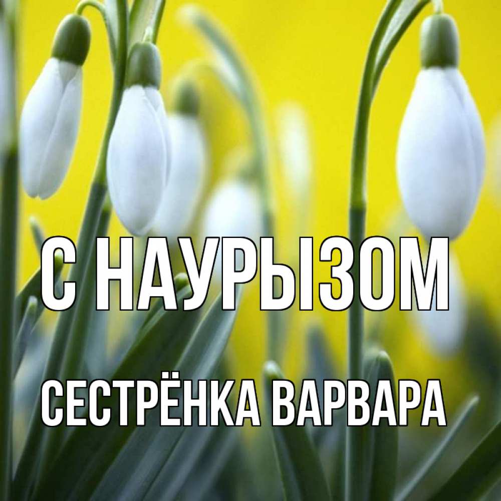 Открытка на каждый день с именем, Сестрёнка-Варвара С наурызом весенние цветы Прикольная открытка с пожеланием онлайн скачать бесплатно 