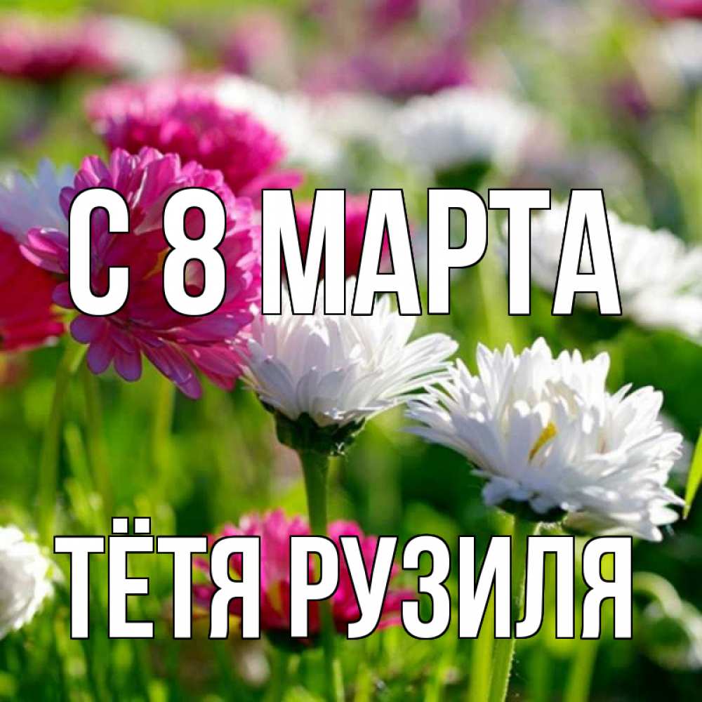 Открытка на каждый день с именем, Тётя-Рузиля С 8 МАРТА международный женский день 1 Прикольная открытка с пожеланием онлайн скачать бесплатно 