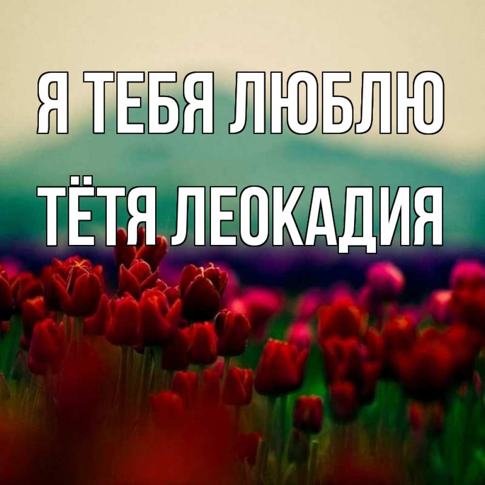 Открытка на каждый день с именем, Тётя-Леокадия Я тебя люблю тюльпаны 4 Прикольная открытка с пожеланием онлайн скачать бесплатно 
