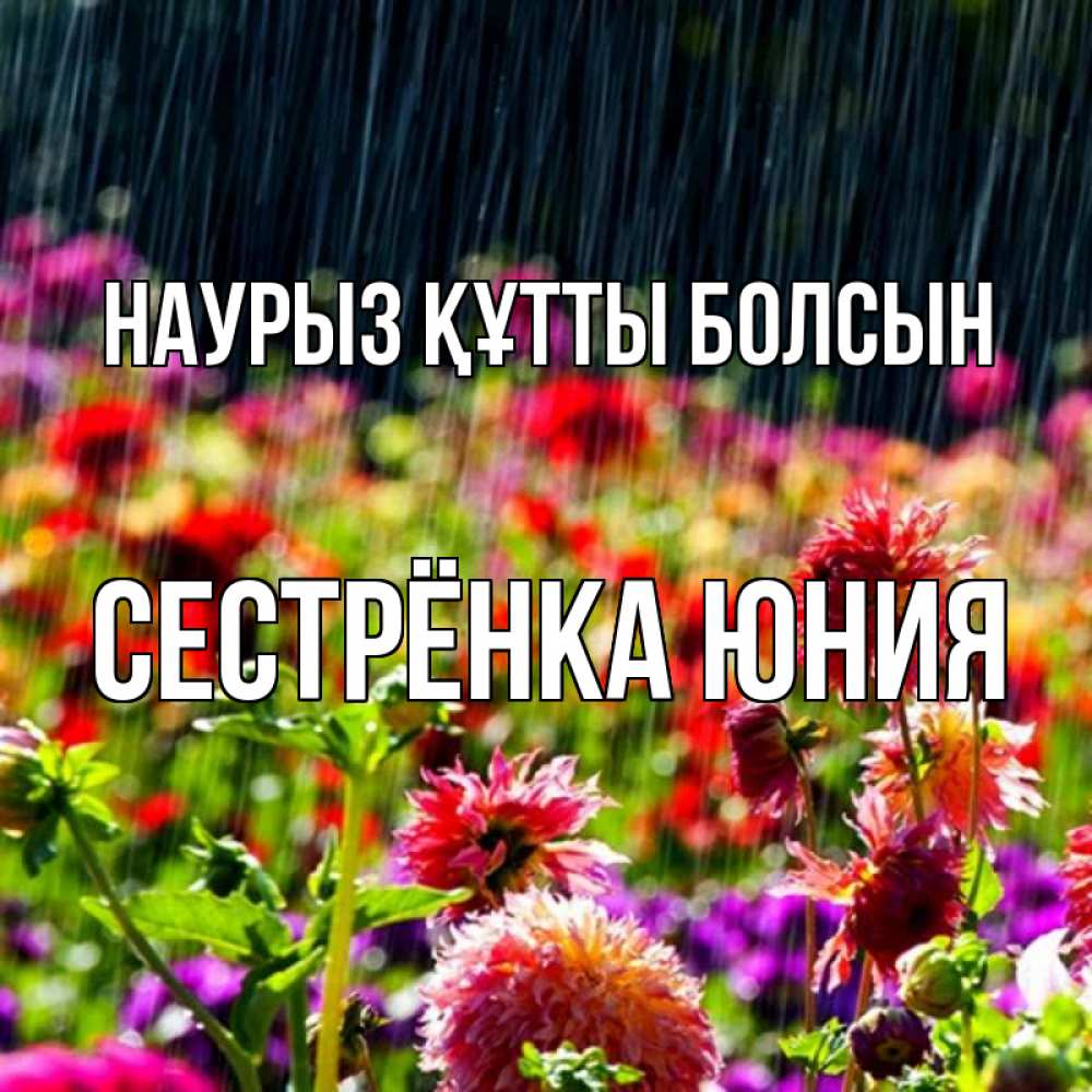 Открытка на каждый день с именем, Сестрёнка-Юния Наурыз құтты болсын цветы под дождиком к наурызу Прикольная открытка с пожеланием онлайн скачать бесплатно 