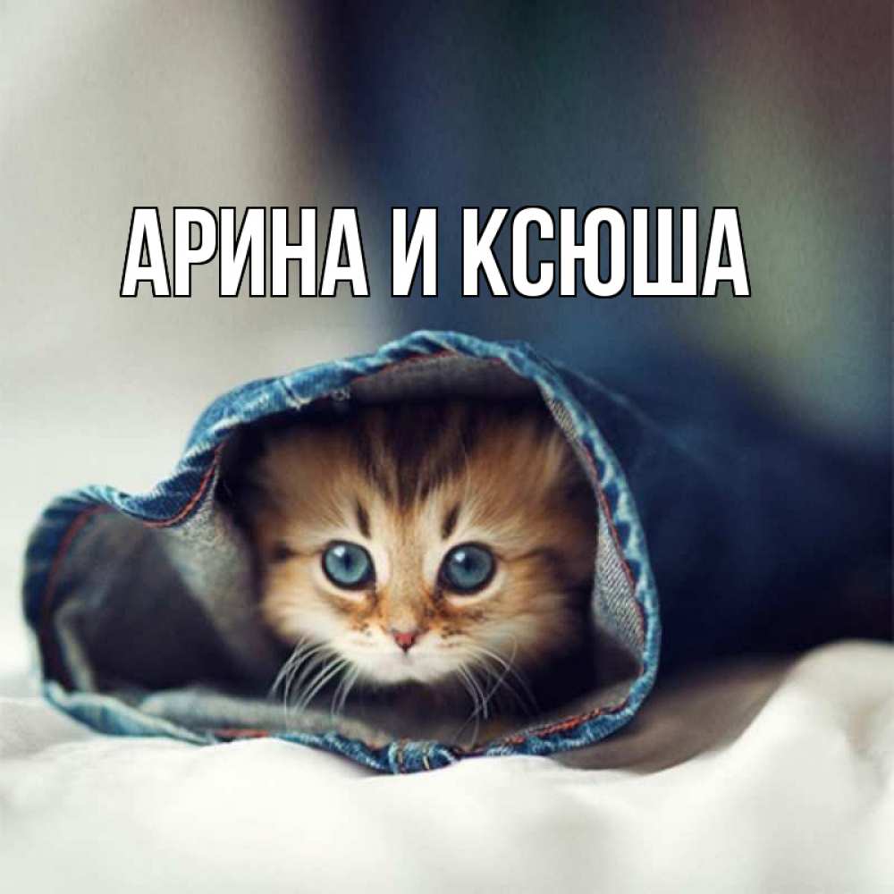 Открытка на каждый день с именем, Арина-и-Ксюша Главная мне без тебя плохо Прикольная открытка с пожеланием онлайн скачать бесплатно 