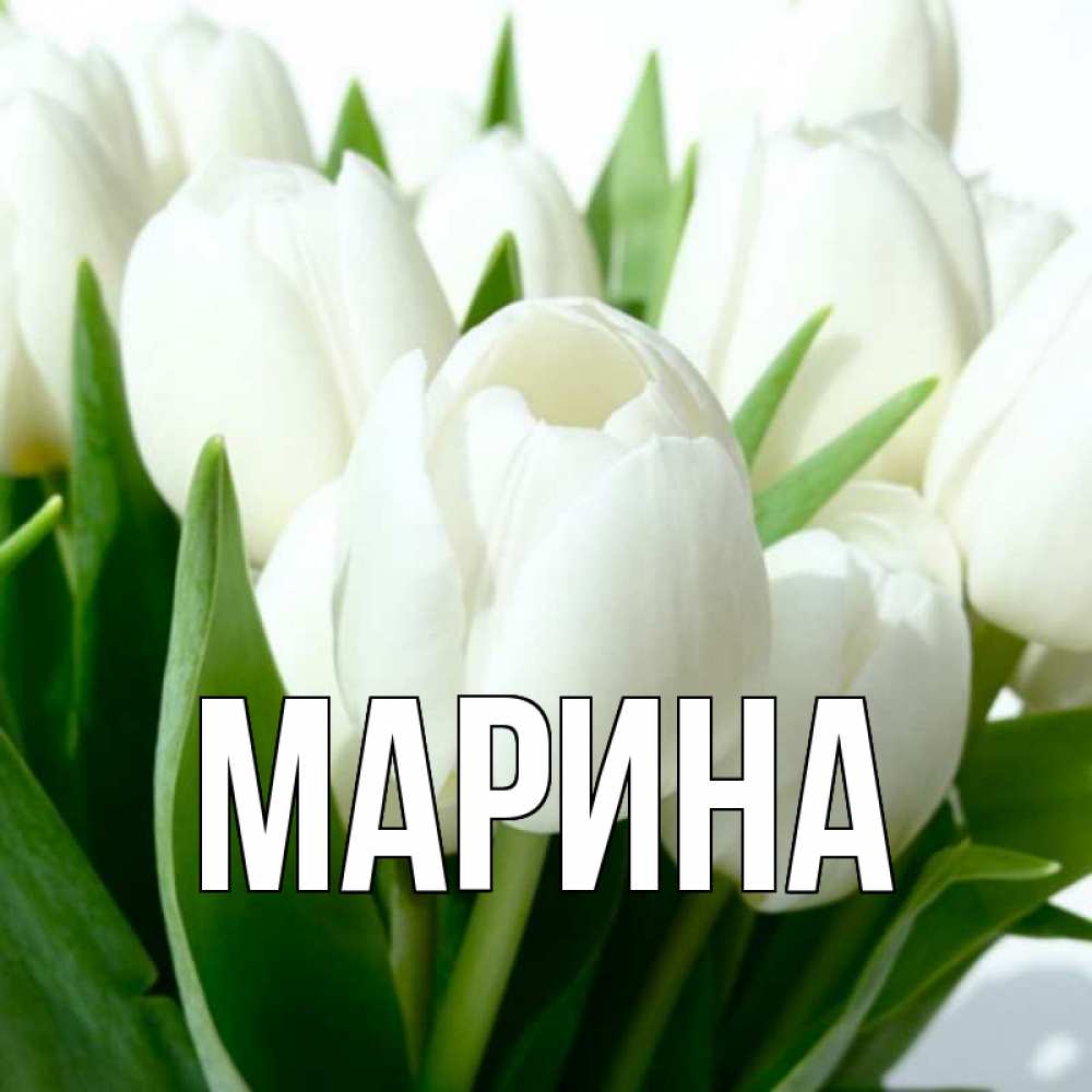 Открытка на каждый день с именем, Марина Главная цветы Прикольная открытка с пожеланием онлайн скачать бесплатно 
