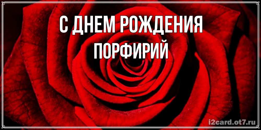 Открытка на каждый день с именем, Порфирий С днем рождения алая роза Прикольная открытка с пожеланием онлайн скачать бесплатно 