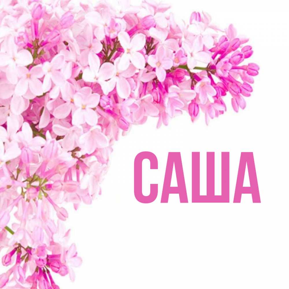 Открытка С Именем Саша