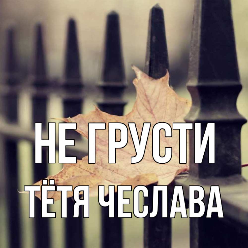 Открытка на каждый день с именем, Тётя-Чеслава Не грусти лист клена Прикольная открытка с пожеланием онлайн скачать бесплатно 