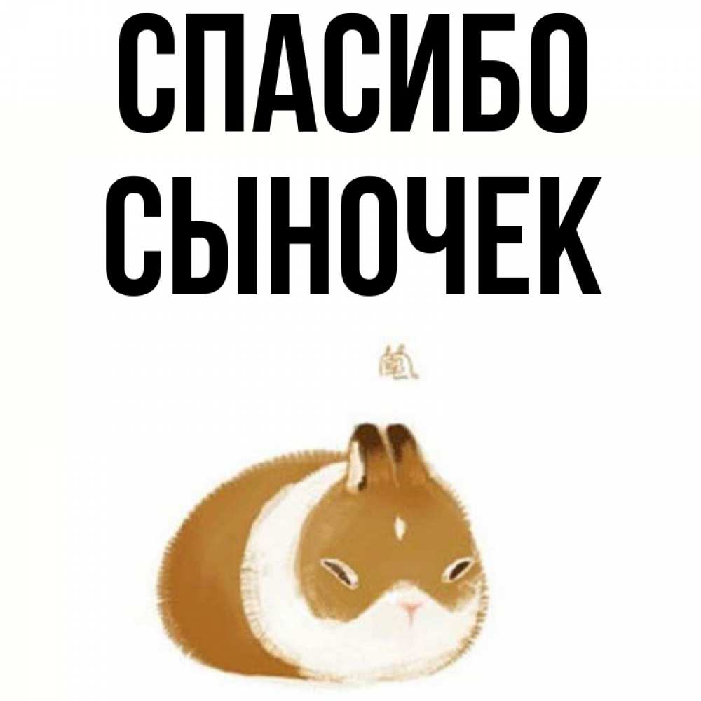 Картинки спорт, картинки спасибо сынок