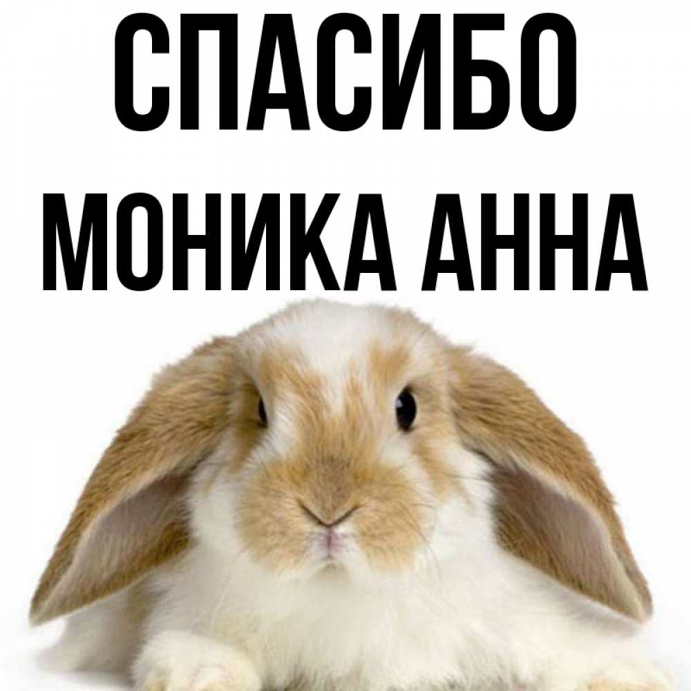 Спасибо анечка картинки