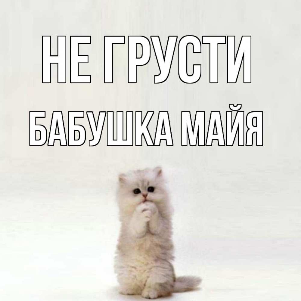 Открытка на каждый день с именем, Бабушка-Майя Не грусти грустный кот Прикольная открытка с пожеланием онлайн скачать бесплатно 