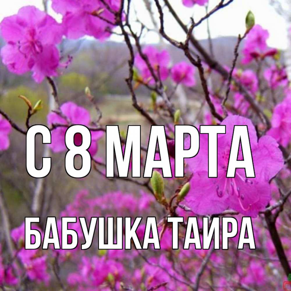 Открытка на каждый день с именем, Бабушка-Таира С 8 МАРТА международный женский день Прикольная открытка с пожеланием онлайн скачать бесплатно 