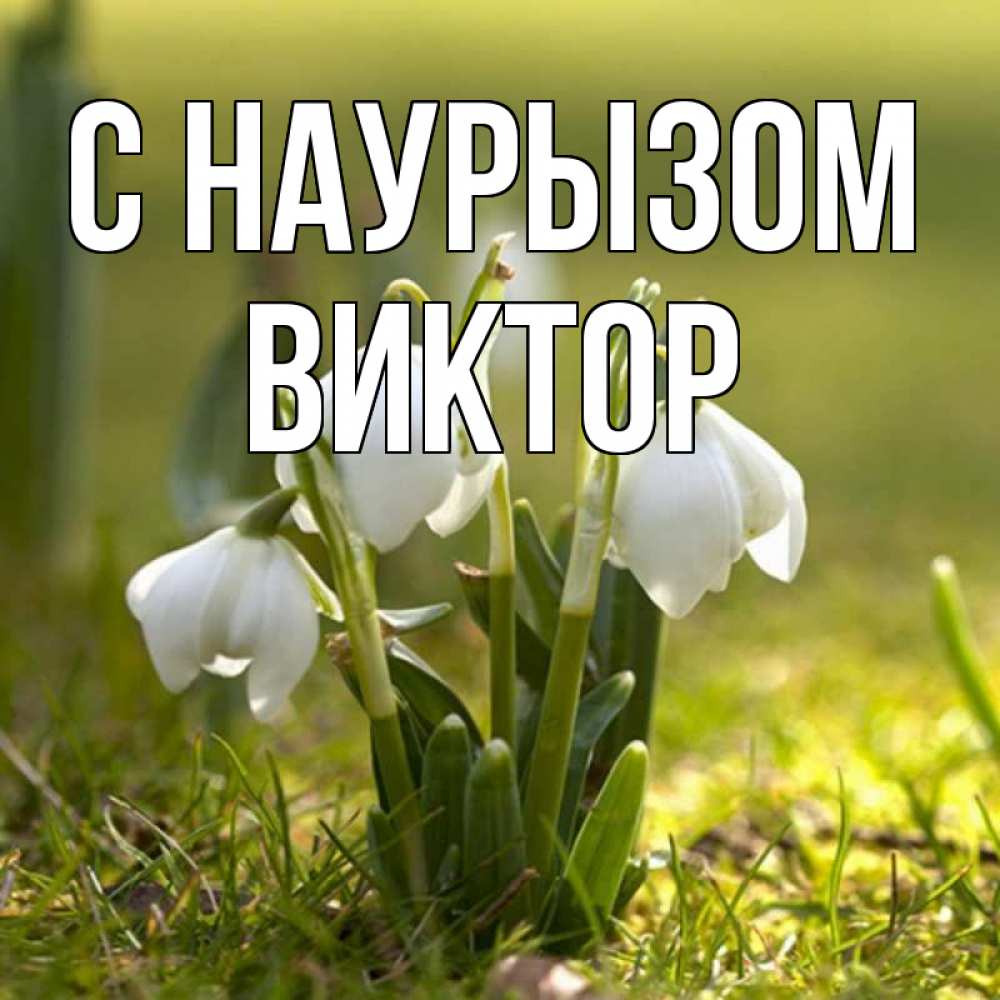 Открытка на каждый день с именем, Виктор С наурызом ранние цветы 2 Прикольная открытка с пожеланием онлайн скачать бесплатно 