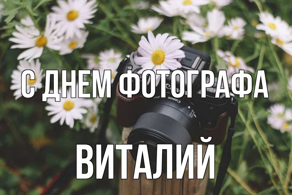 Открытка на каждый день с именем, Виталий С днем фотографа с днем фотографа Прикольная открытка с пожеланием онлайн скачать бесплатно 