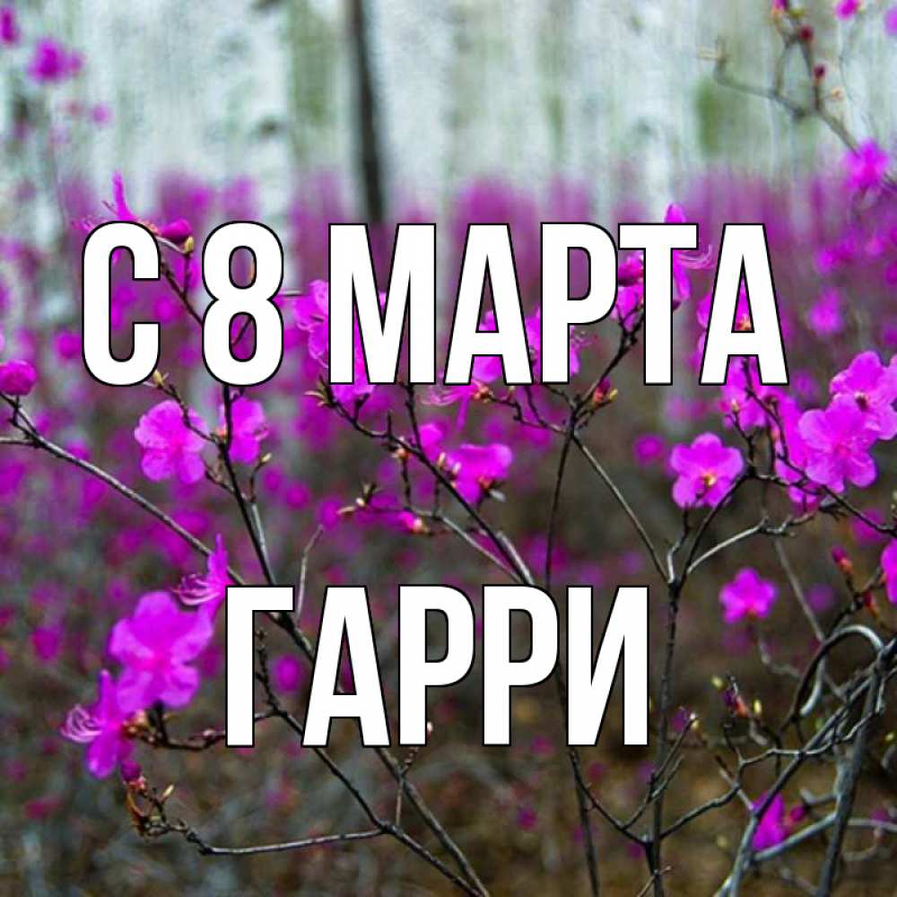 Открытка на каждый день с именем, Гарри С 8 МАРТА дикие цветы Прикольная открытка с пожеланием онлайн скачать бесплатно 