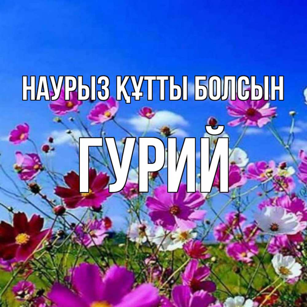 Открытка на каждый день с именем, Гурий Наурыз құтты болсын цветы Прикольная открытка с пожеланием онлайн скачать бесплатно 