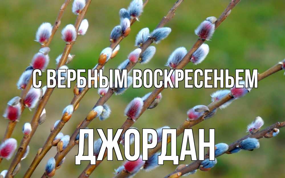 Открытка на каждый день с именем, Джордан С вербным воскресеньем верба Прикольная открытка с пожеланием онлайн скачать бесплатно 