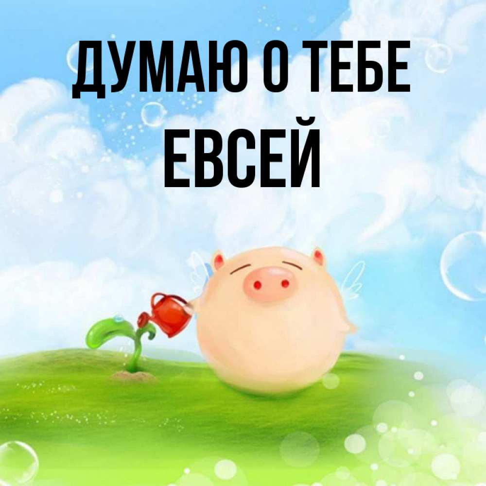 Открытка на каждый день с именем, Евсей Думаю о тебе позитивная свинюшка Прикольная открытка с пожеланием онлайн скачать бесплатно 