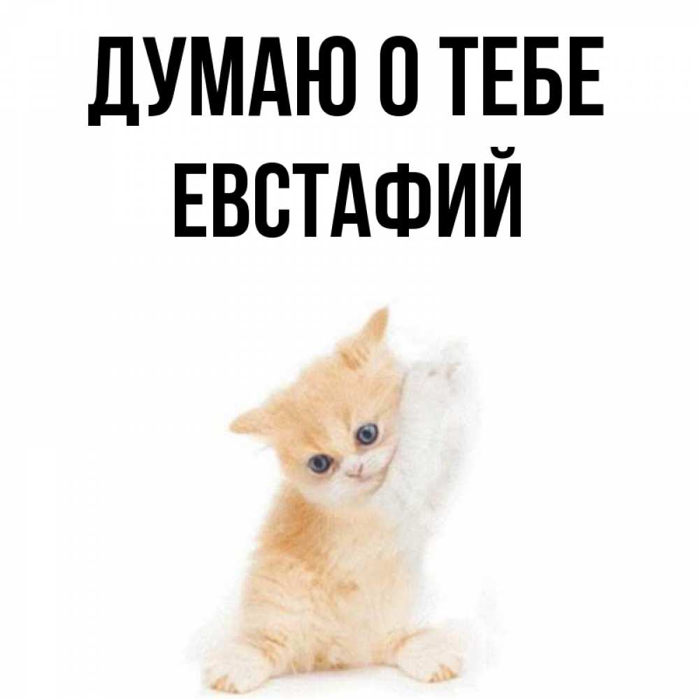 Открытка на каждый день с именем, Евстафий Думаю о тебе зверушки и милота Прикольная открытка с пожеланием онлайн скачать бесплатно 