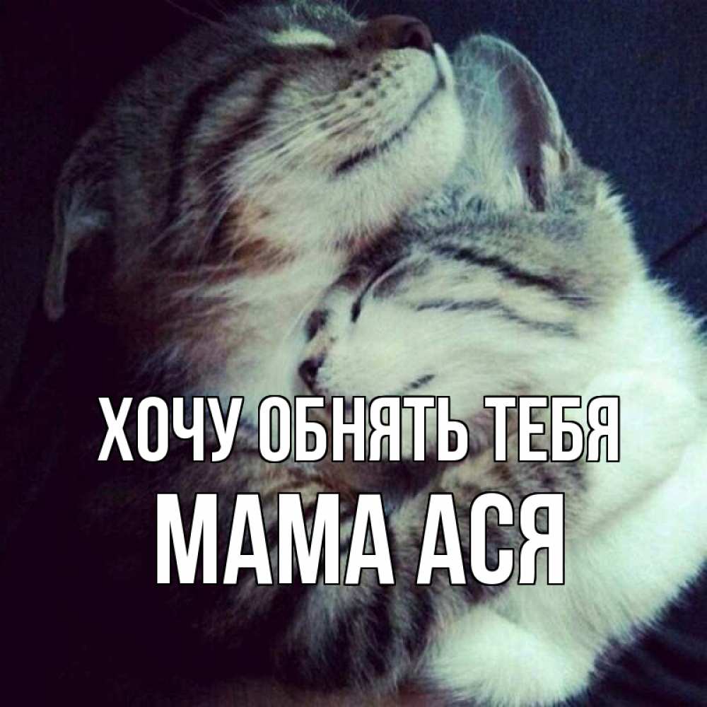 Открытка на каждый день с именем, Мама-Ася Хочу обнять тебя полосатики Прикольная открытка с пожеланием онлайн скачать бесплатно 