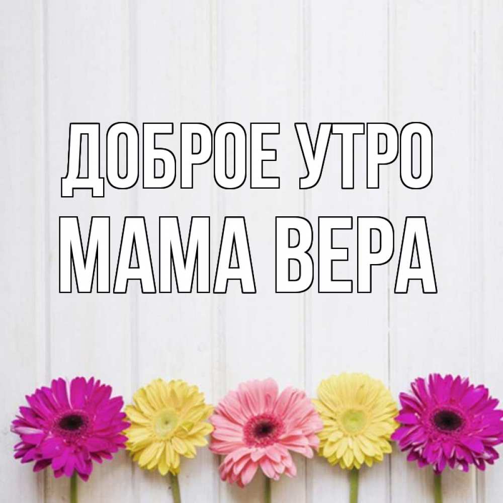 Открытка на каждый день с именем, Мама-Вера Доброе утро красный желтый и розовый цветок Прикольная открытка с пожеланием онлайн скачать бесплатно 