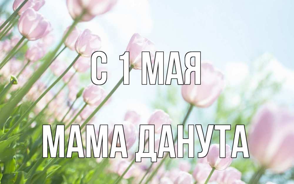Открытка на каждый день с именем, Мама-Данута С 1 мая С 1 мая Прикольная открытка с пожеланием онлайн скачать бесплатно 