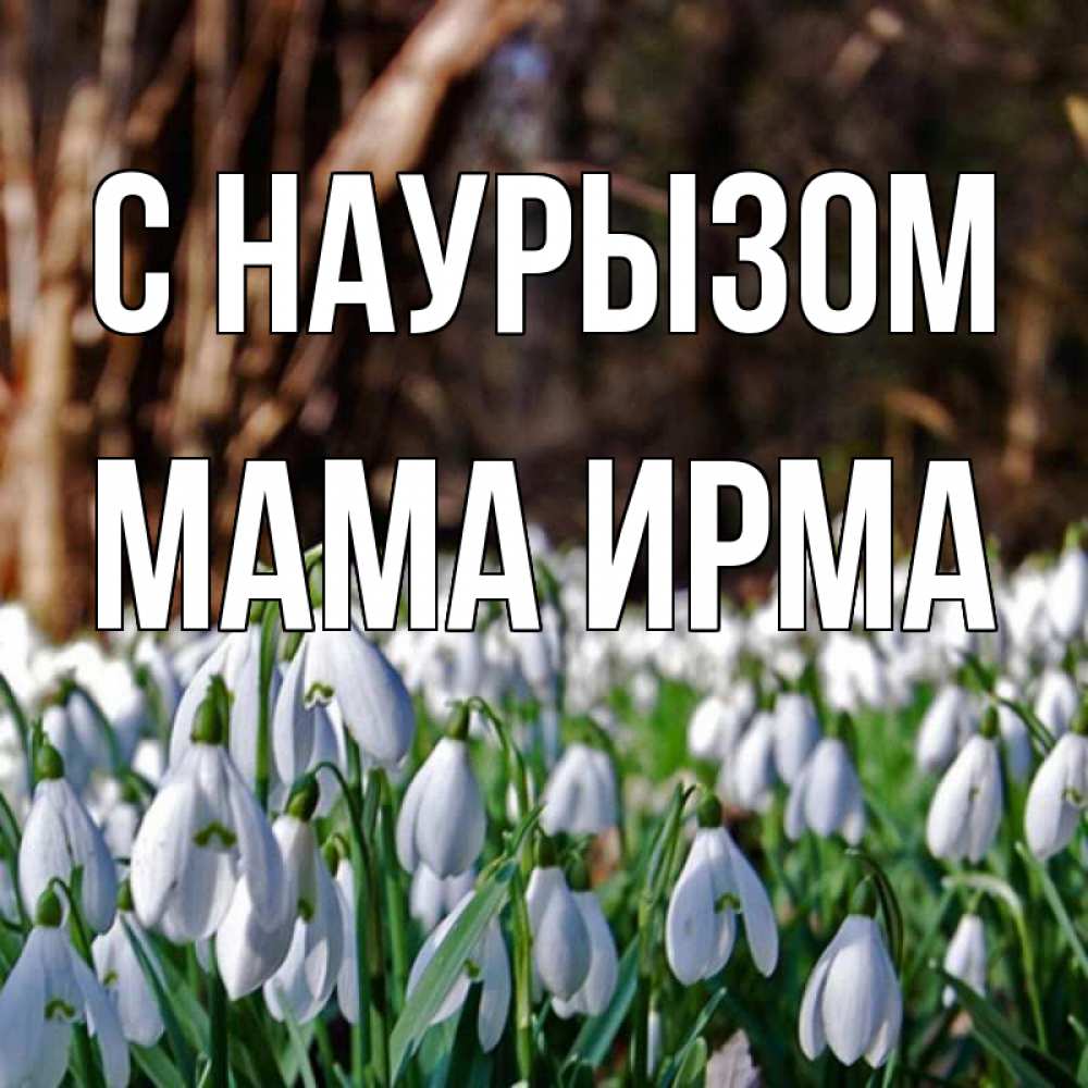 Открытка на каждый день с именем, Мама-Ирма С наурызом с подснежниками 1 Прикольная открытка с пожеланием онлайн скачать бесплатно 