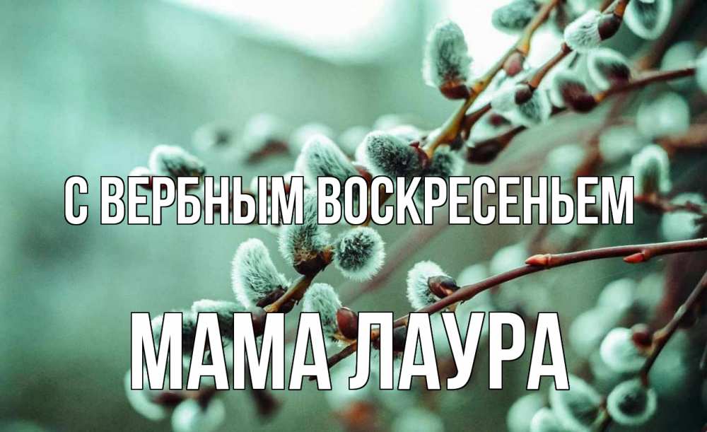Открытка на каждый день с именем, Мама-Лаура С вербным воскресеньем верба Прикольная открытка с пожеланием онлайн скачать бесплатно 