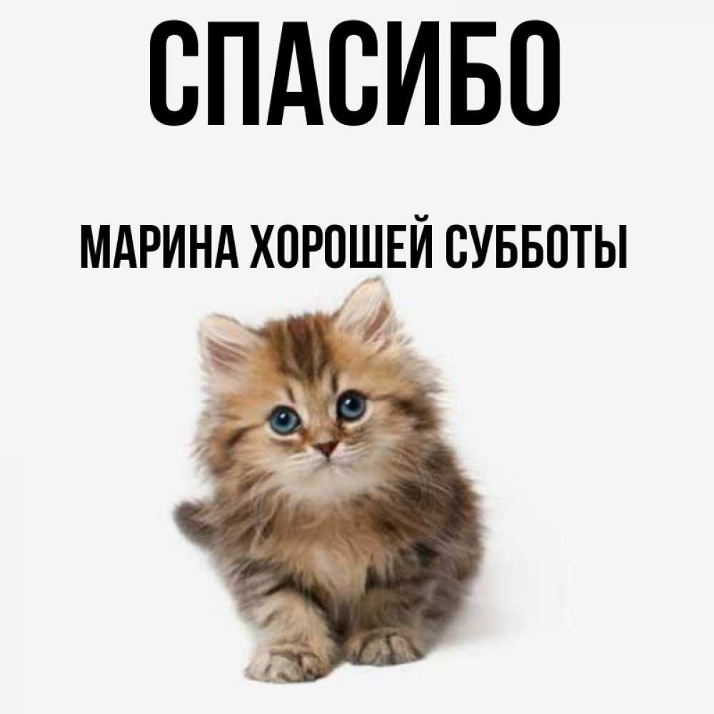Марина Хорошего Дня