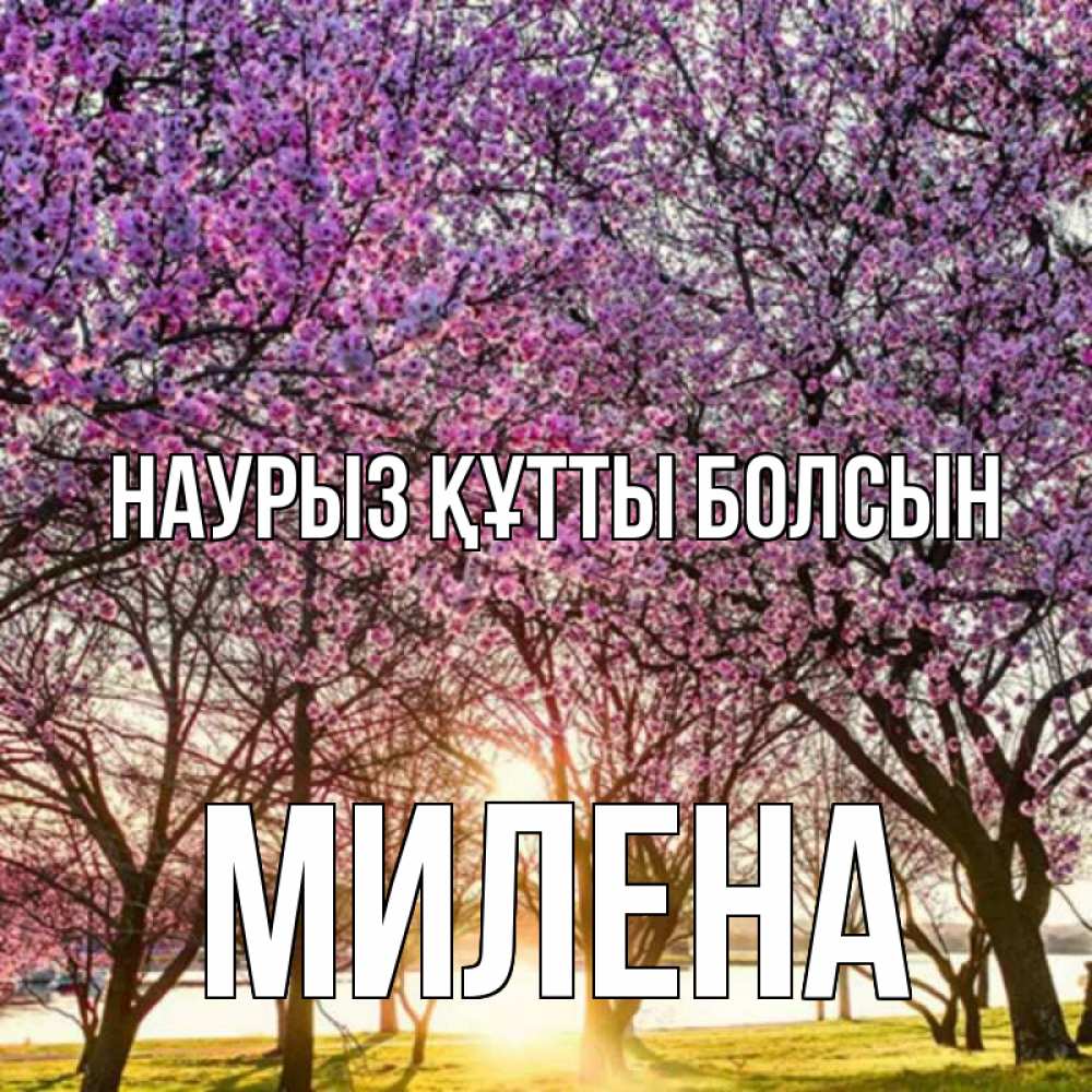 Открытка на каждый день с именем, Милена Наурыз құтты болсын наурыз Прикольная открытка с пожеланием онлайн скачать бесплатно 