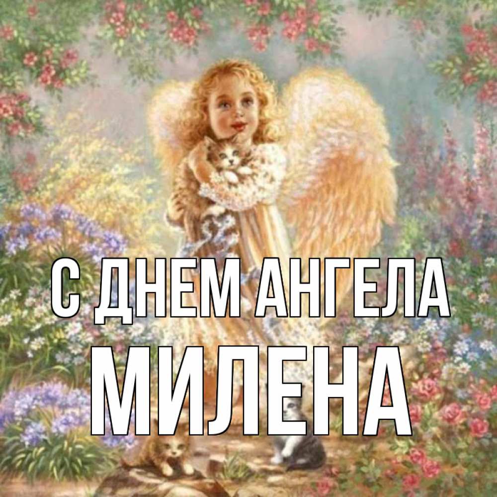 Открытка на каждый день с именем, Милена С днем ангела держит котенка Прикольная открытка с пожеланием онлайн скачать бесплатно 