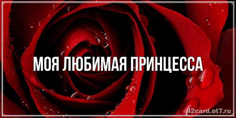 Открытка на каждый день с именем, Моя-Любимая-Принцесса Главная крупная бордовая роза Прикольная открытка с пожеланием онлайн скачать бесплатно 