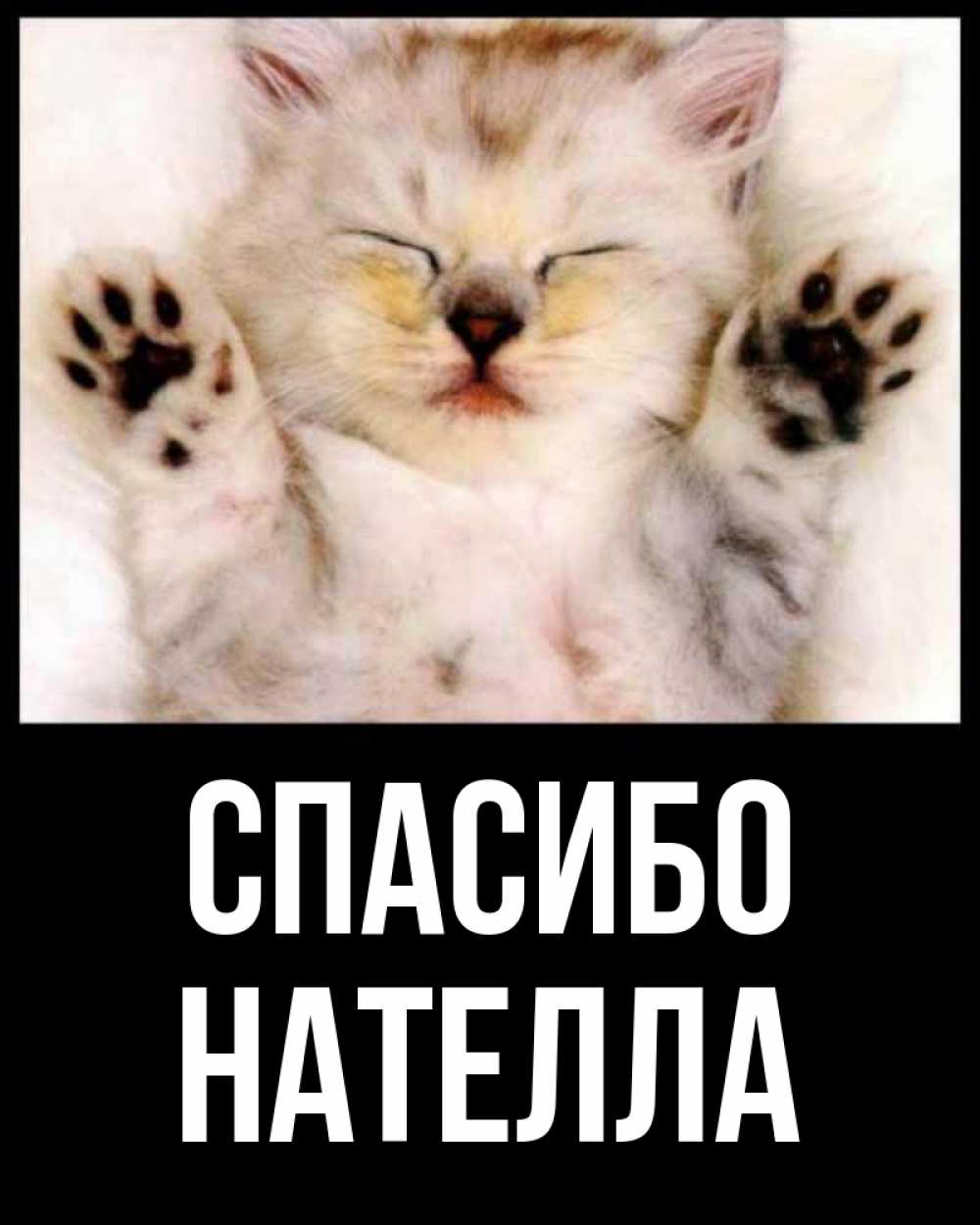 Открытка на каждый день с именем, Нателла Спасибо маленький котенок Прикольная открытка с пожеланием онлайн скачать бесплатно 